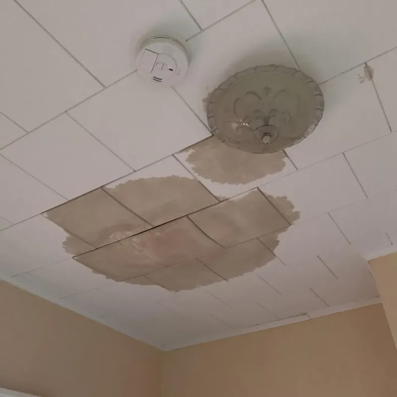 Ceiling Water Damage Repair in Summit, MS