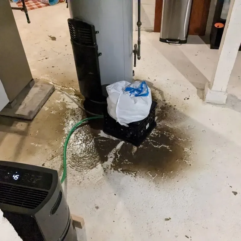 Sewage Backup Cleanup Service in Summit, MS